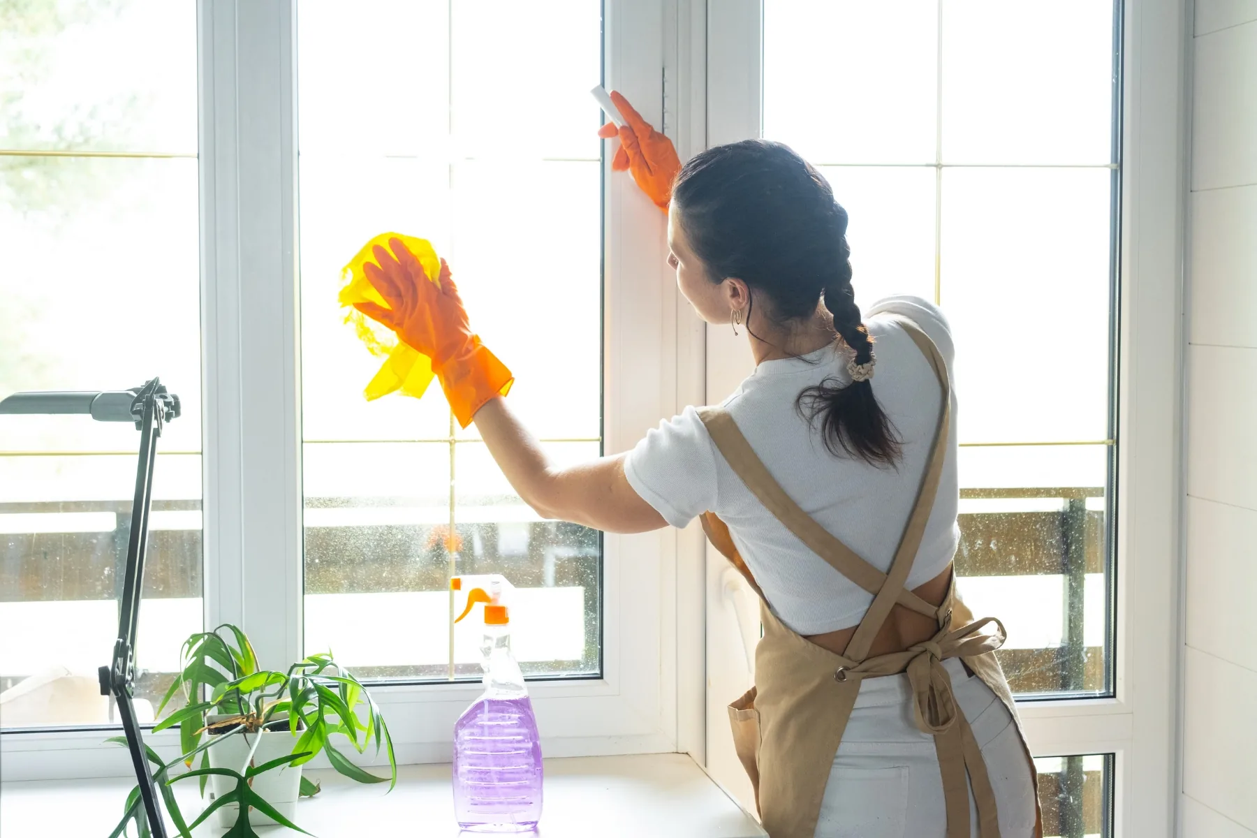 Professionelle Fensterreinigung
